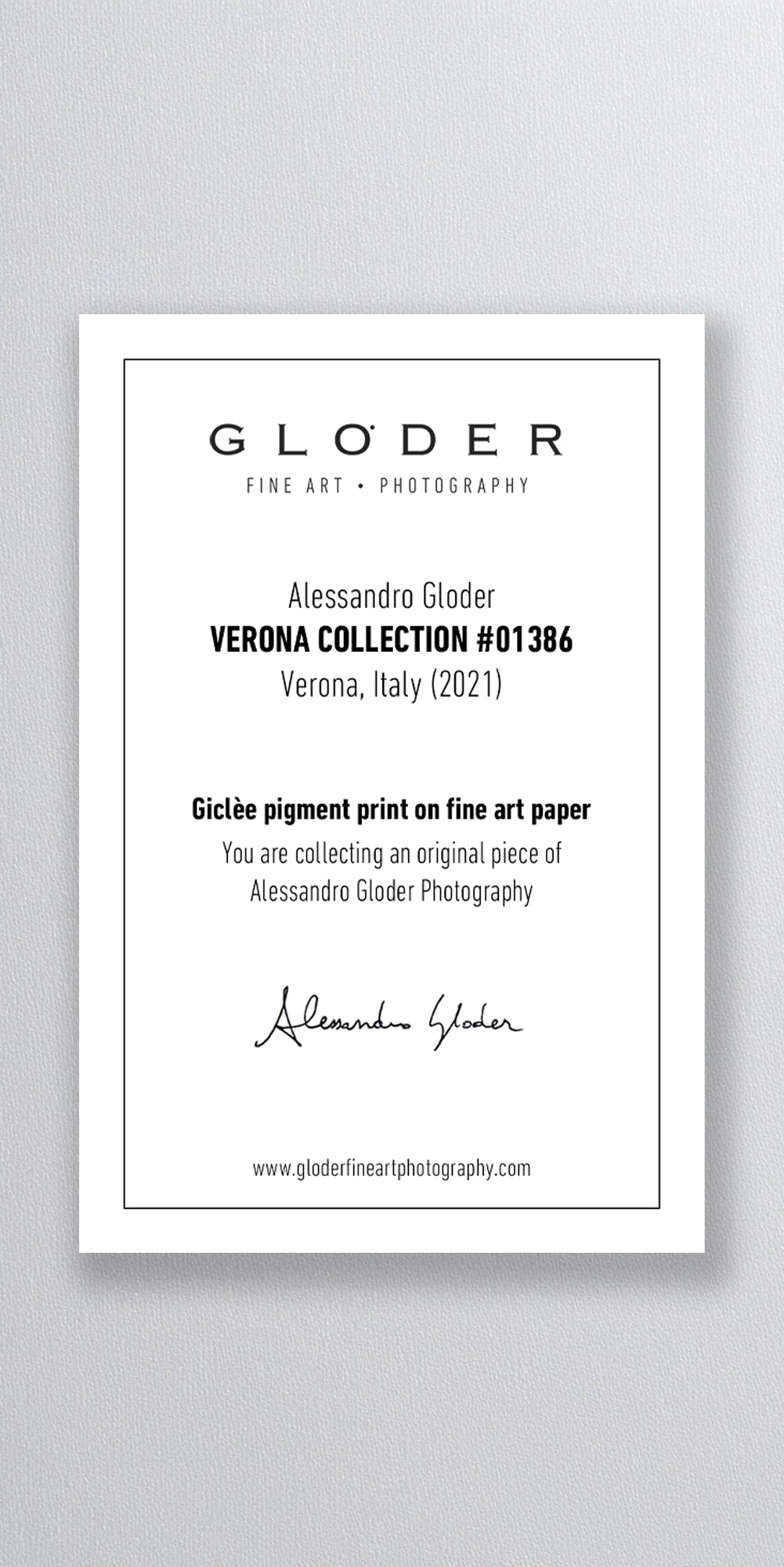 (0056) Verona Collection #01228-Pano