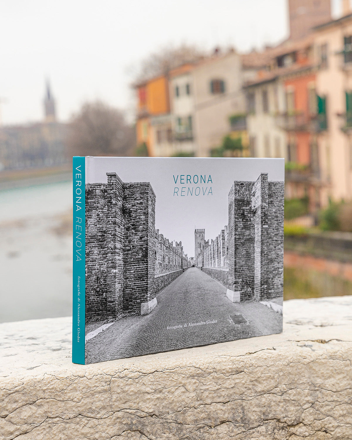 LIBRO VERONA RENOVA