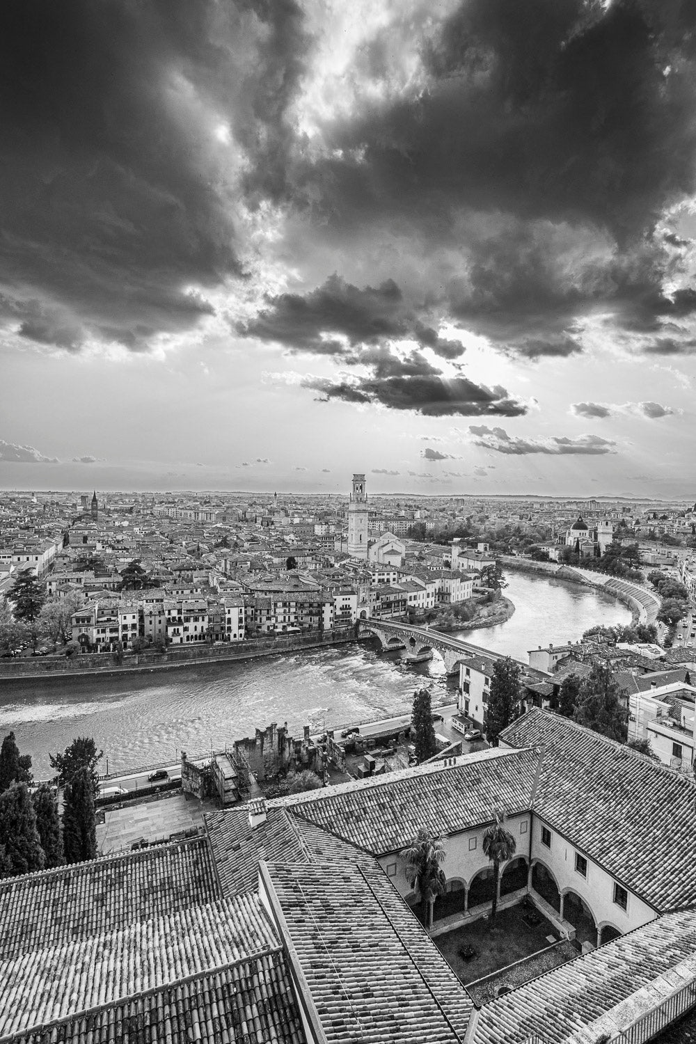 (0063) Verona Collection #00891