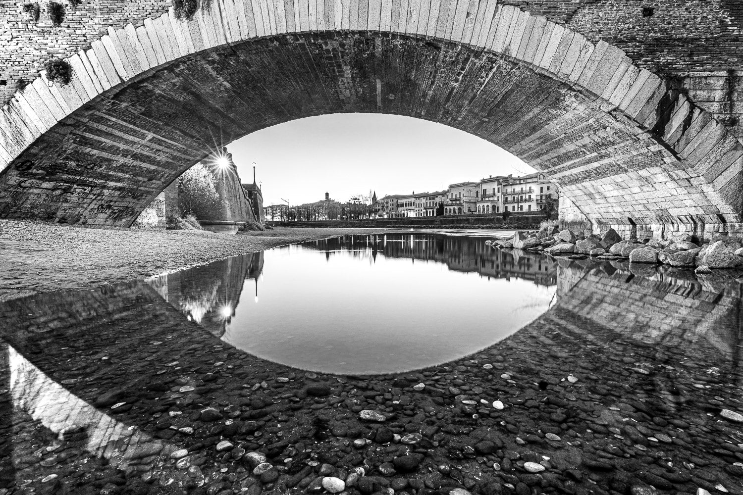 (0072) Verona Collection #01433