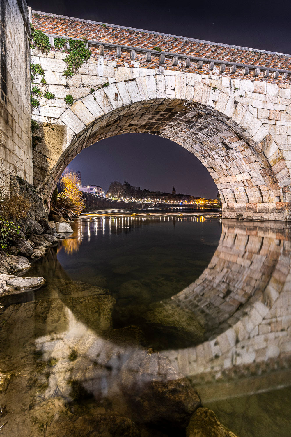 (0002) Verona Collection #01671