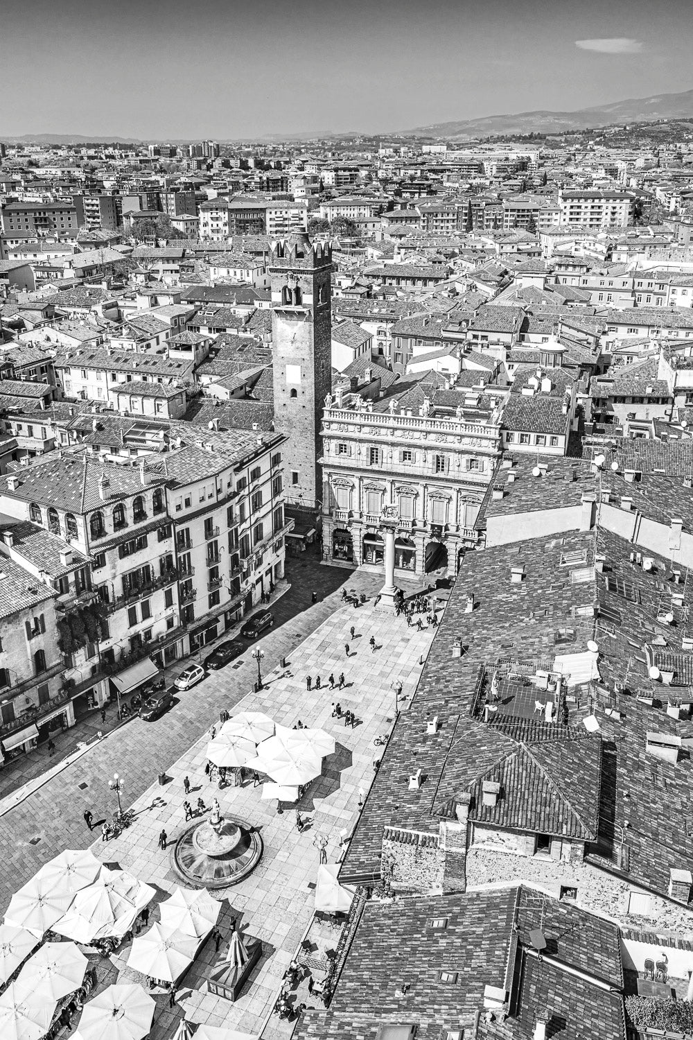 (0074) Verona Collection #01801