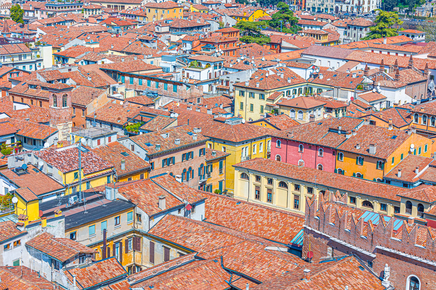 (0027) Verona Collection #01922