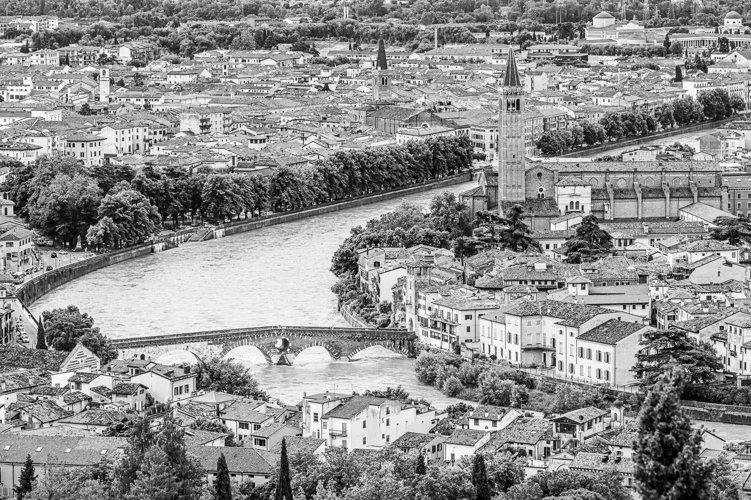 (0073) Verona Collection #05424