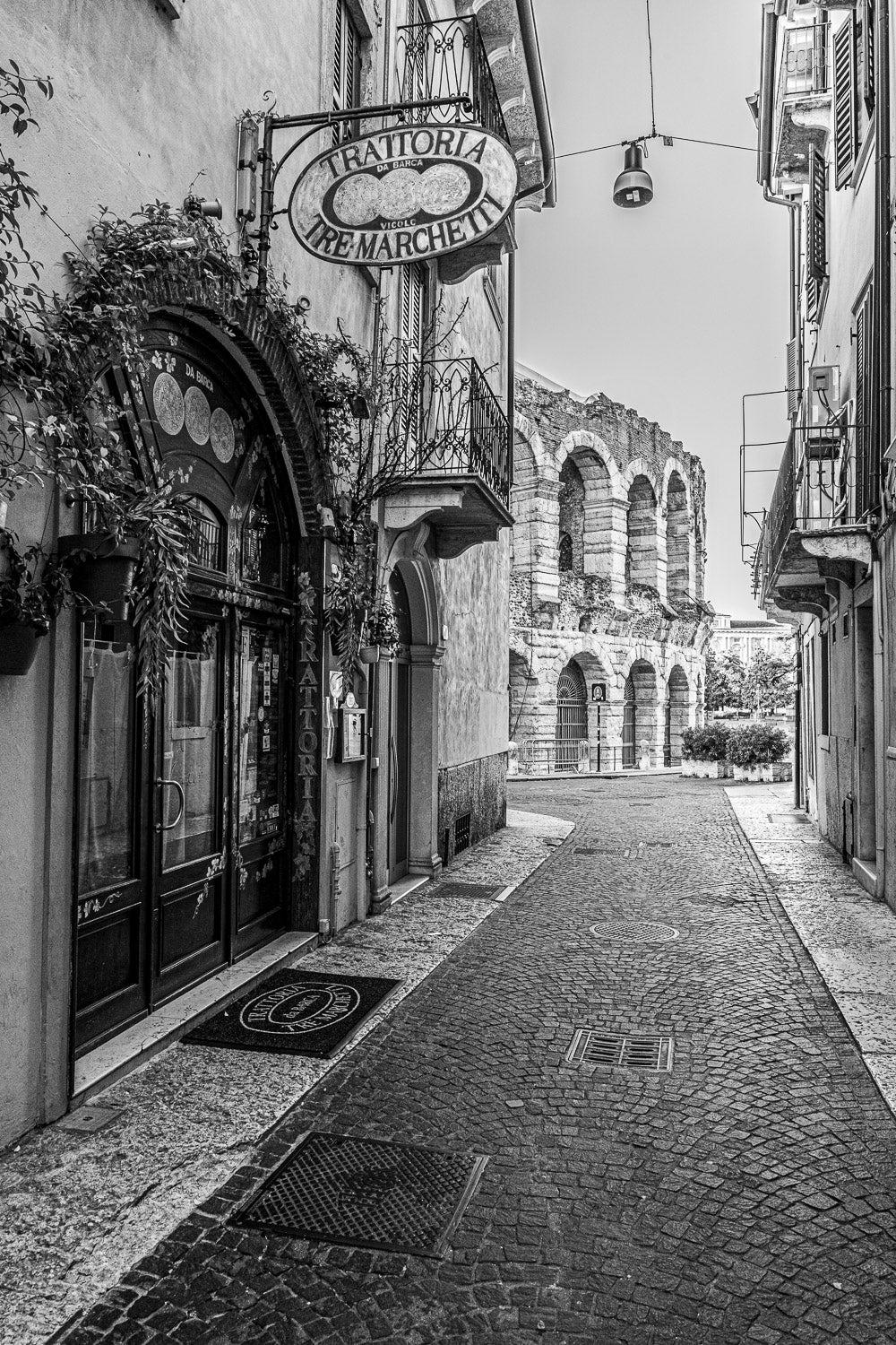 (0062) Verona Collection #06087