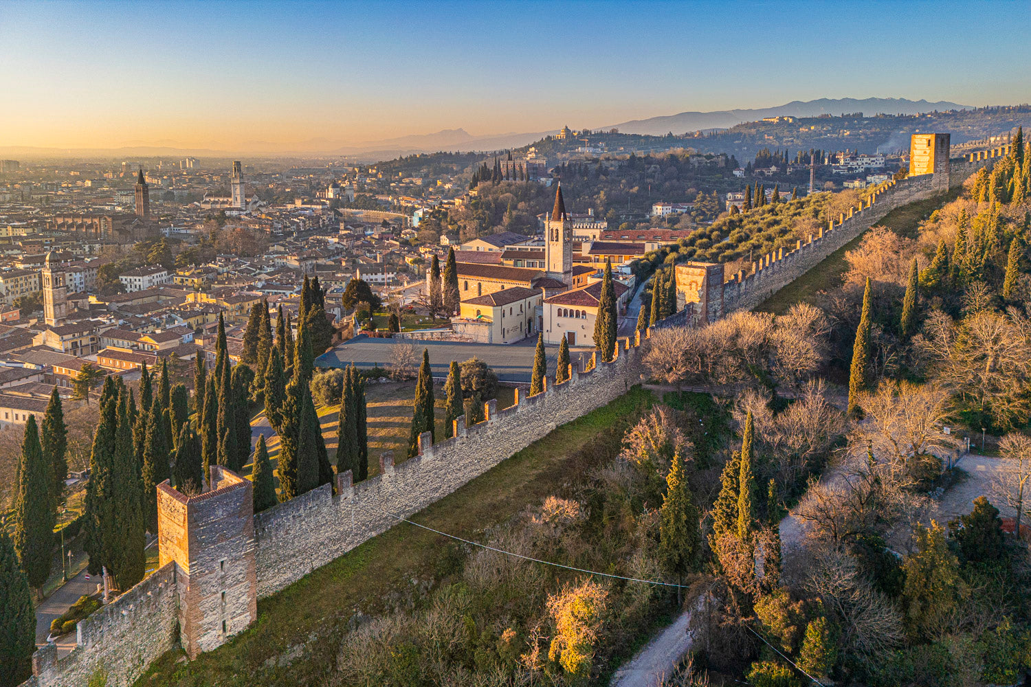 (0040) Verona Collection #06367