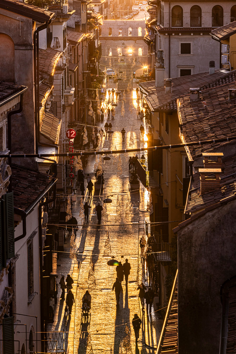 (0003) Verona Collection #06663